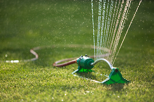 Sprinkler Watering Lawn Picture