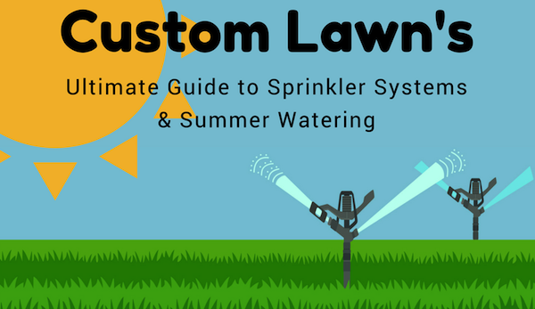 Are Your Sprinklers Watering Evenly?